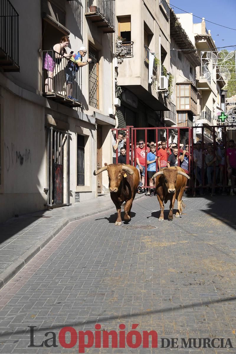 Tercer encierro de las Fiestas de Moratalla