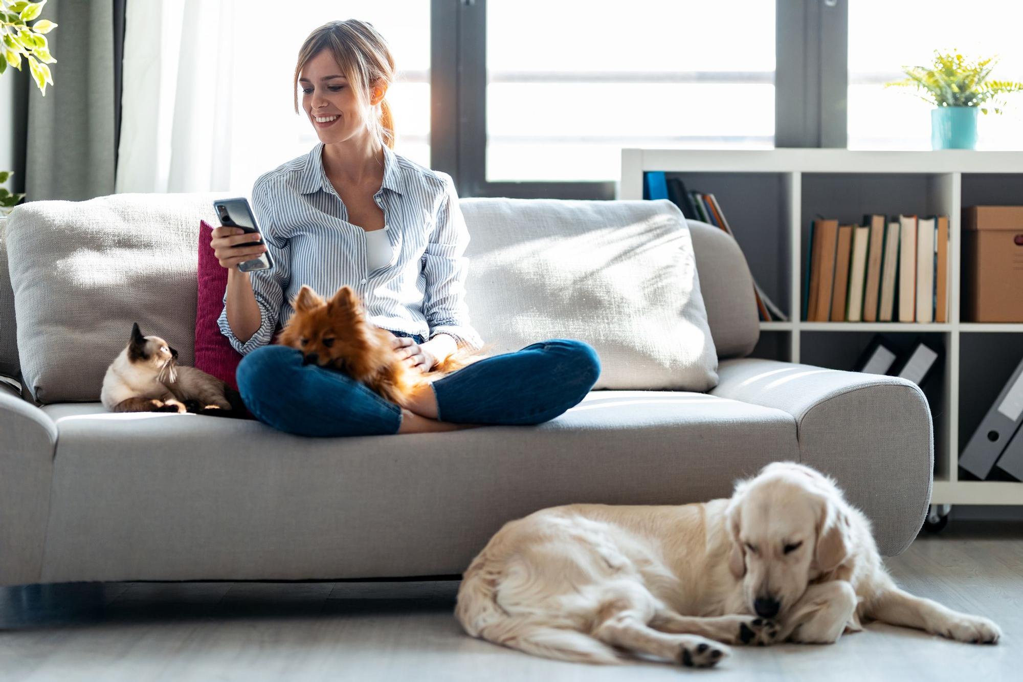 Mujer con perros y móvil en su sofá