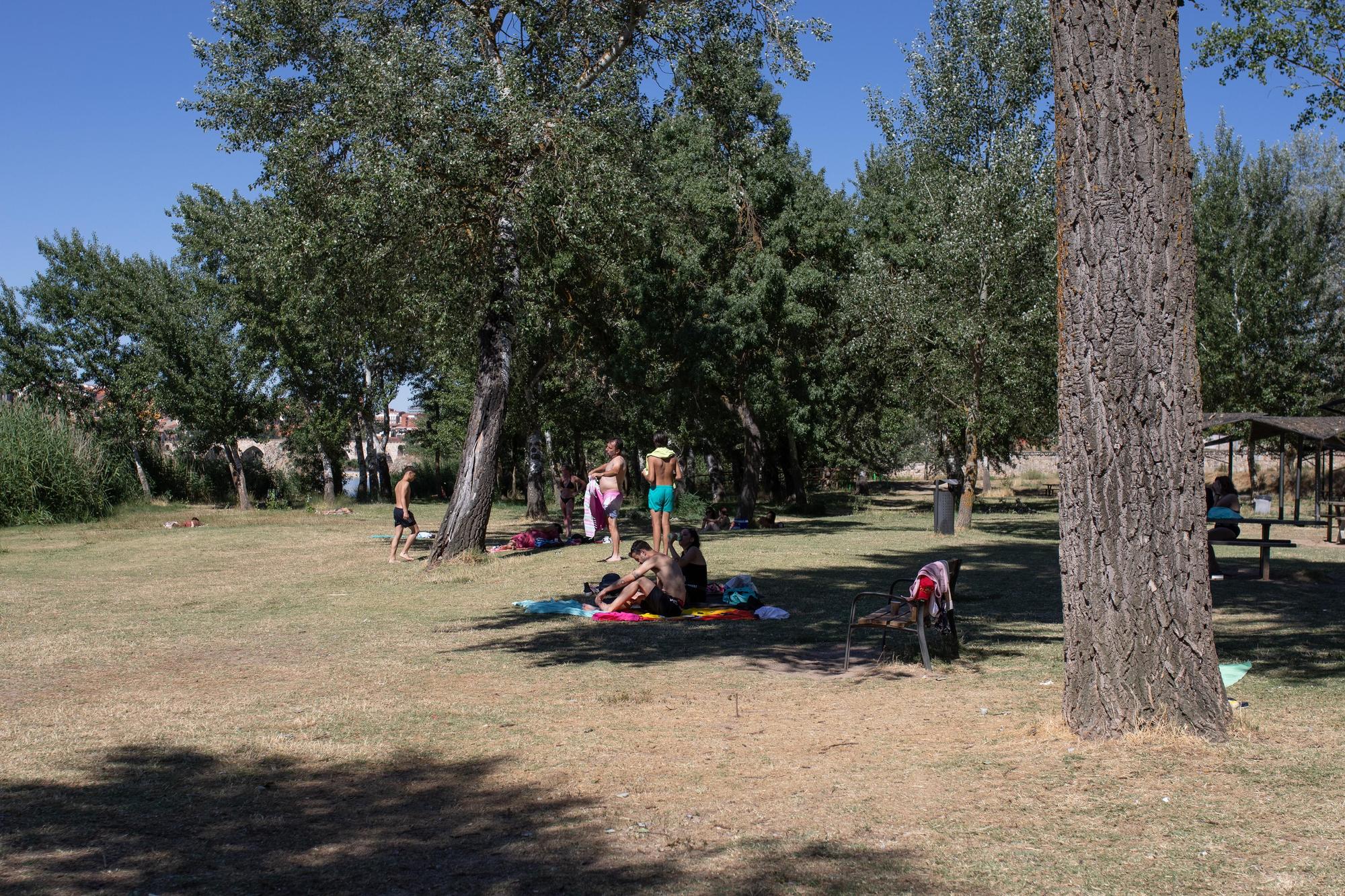 La segunda ola de calor del verano golpea Zamora