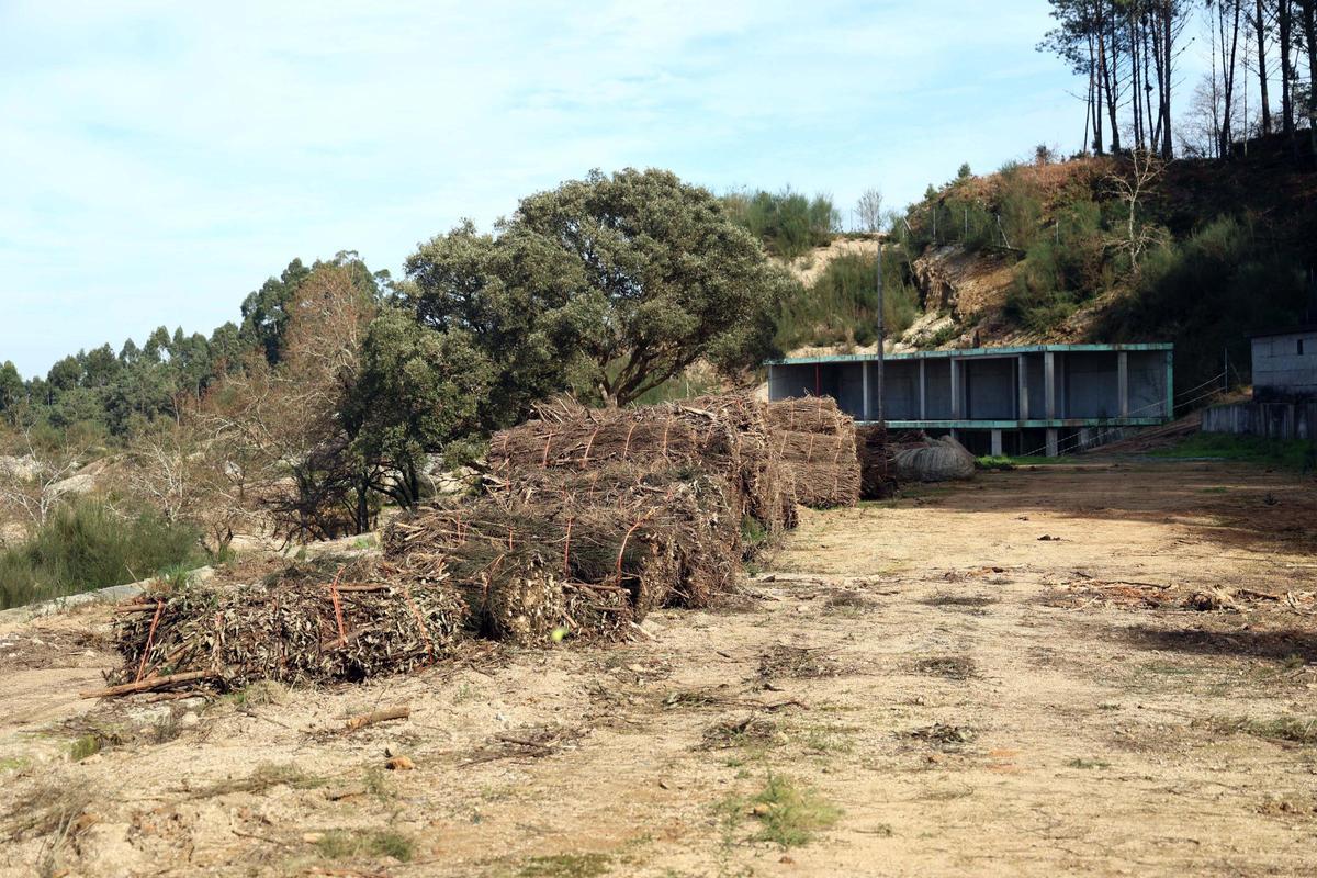 Balas de madera y retama seca, listas para ser retiradas.