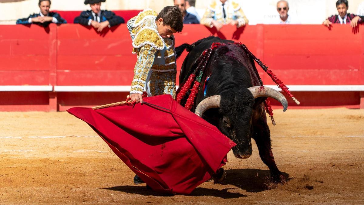 Buena impresión del novillero cordobés Manuel Quintana en su reaparición en Nimes