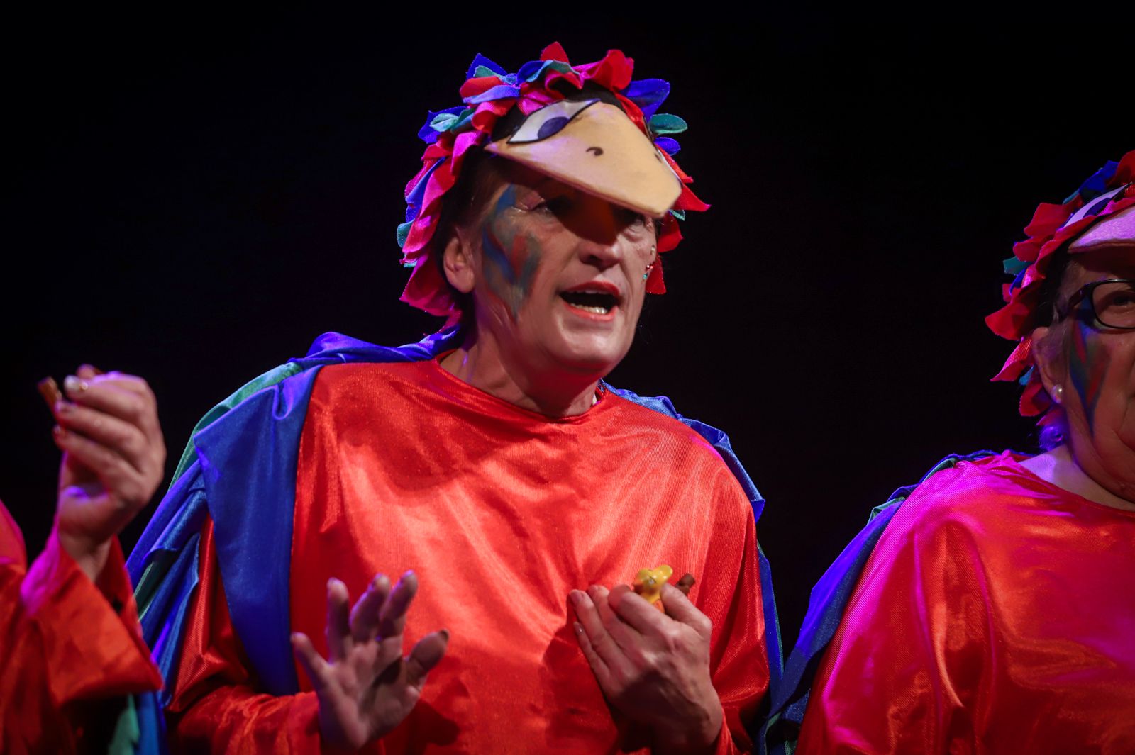 Los mayores conquistan el Gran Teatro por Carnaval