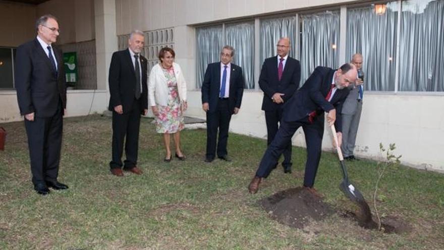 Asistentes a la presentación del árbol de la Facultad de Medicina.