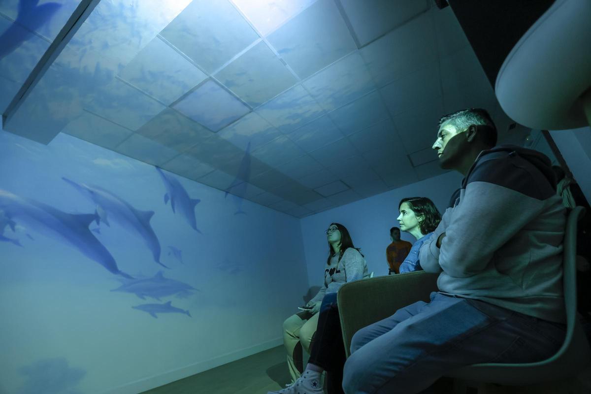 El nuevo espacio inmersivo de la asociación Gira-Sol cuenta con un proyecto 3D que recrea un entorno virtual en un espacio real.