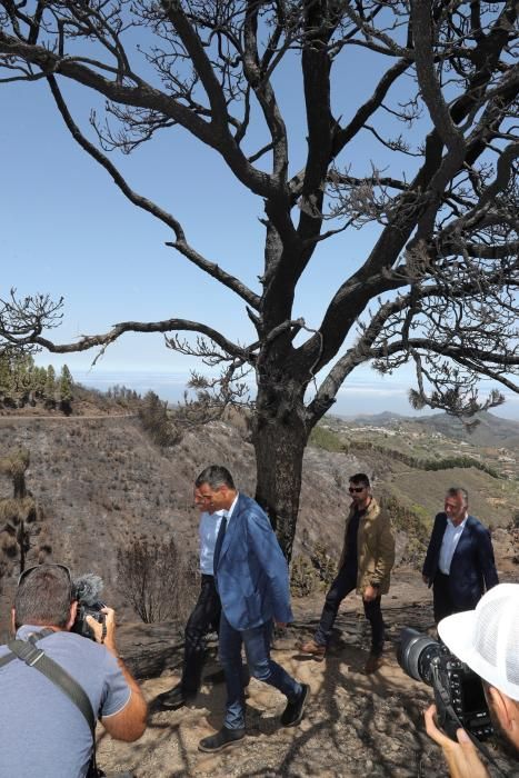 Pedro Sánchez visita Gran Canaria