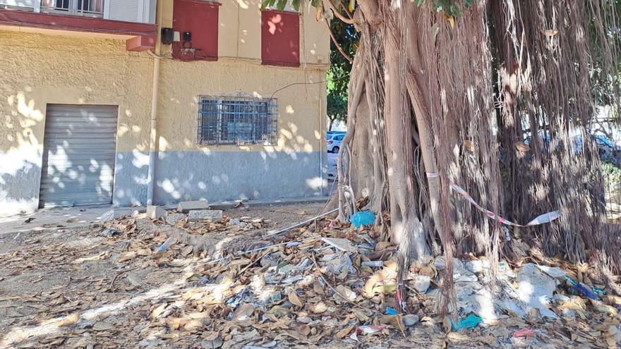 Estado de la base del ficus, en el Pasaje Ferrería de Heredia, el pasado domingo.