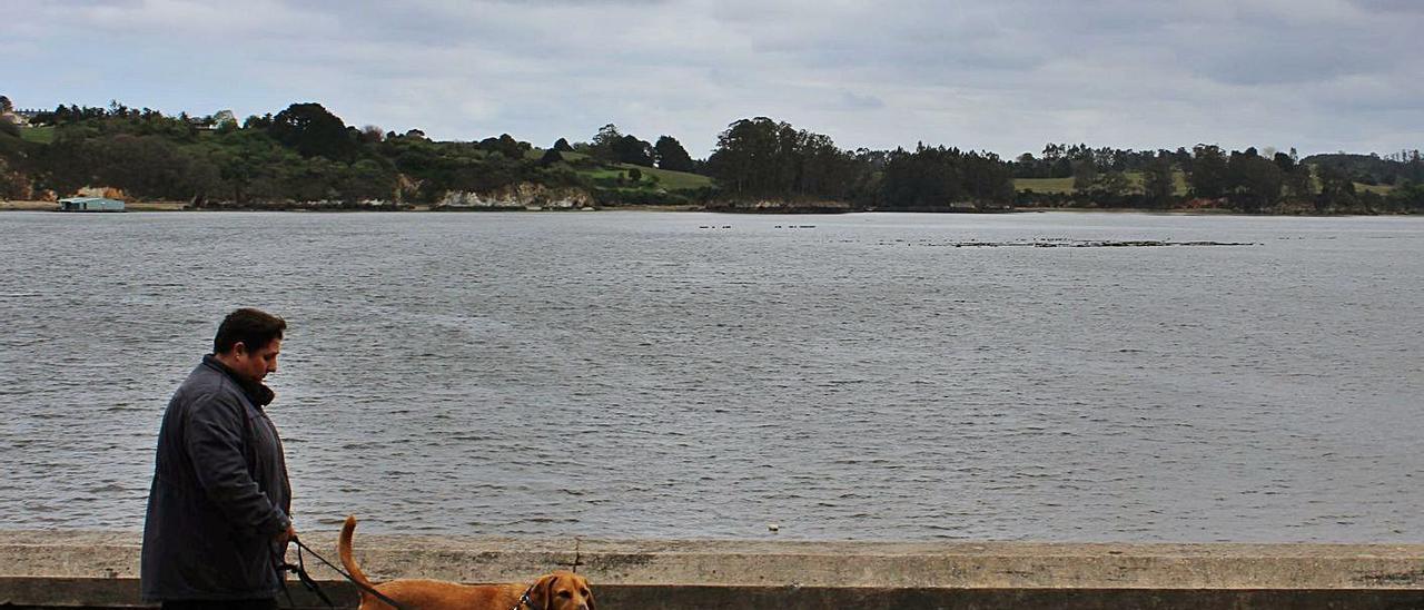 Un vecino, paseando en la zona del puerto de Castropol, junto a la ría del Eo. | LNE