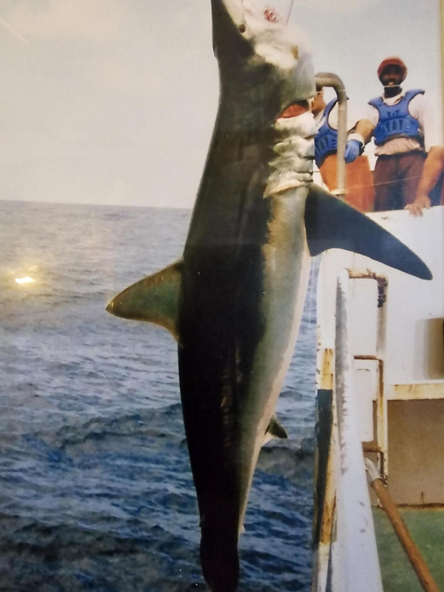 La taberna O Pelao de Cangas echa el cierre