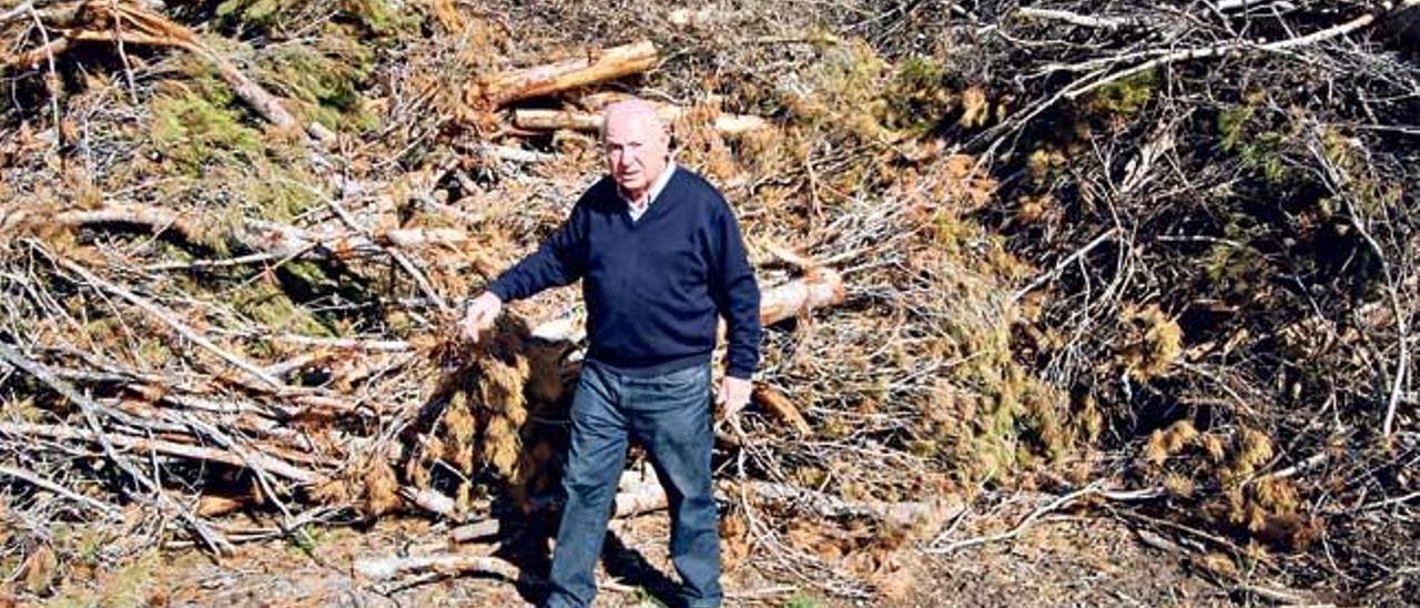 Josep Oliver, ante un montón de ramas preparadas para biomasa y almacenadas lejos del bosque.