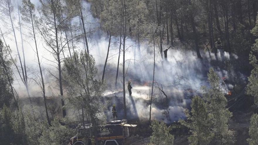 Incendio en Castellón: Los expertos alertan de que hacen falta 160 millones para limpiar los bosques