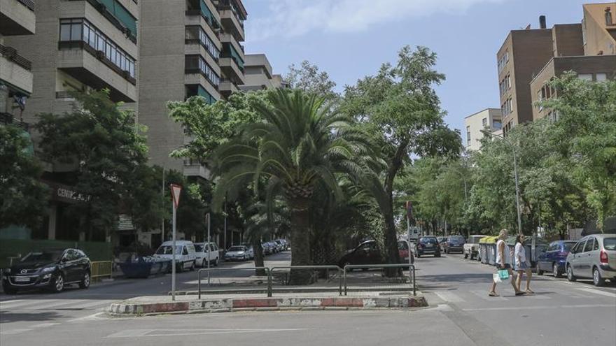 Performance contra la tala de árboles de Guadalupe, el sábado