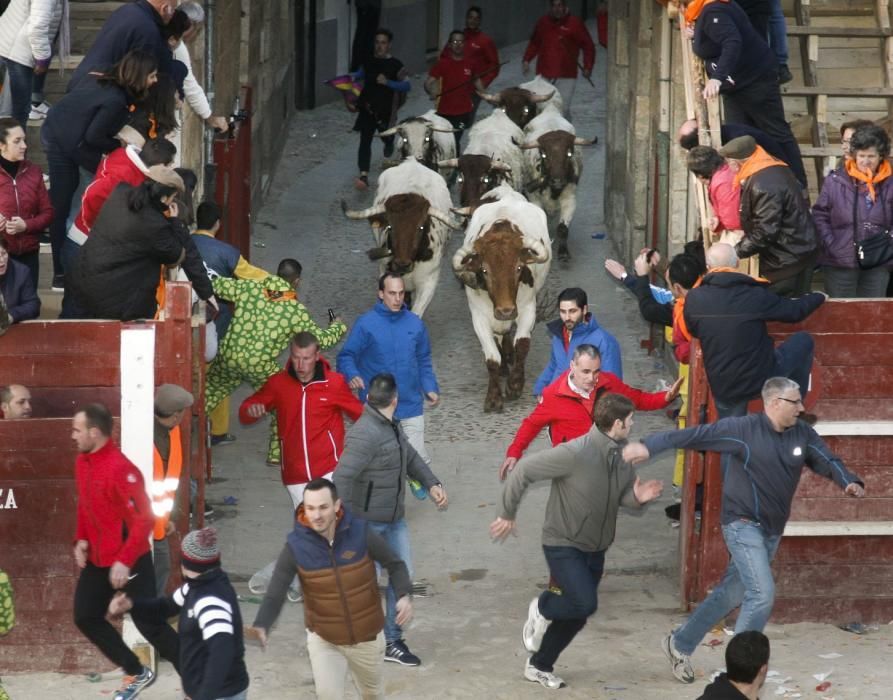 Carnaval del Toro de Ciudad Rodrigo