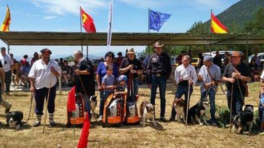 Odèn rep gairebé 800 persones amb motiu del concurs  de gossos d&#039;atura