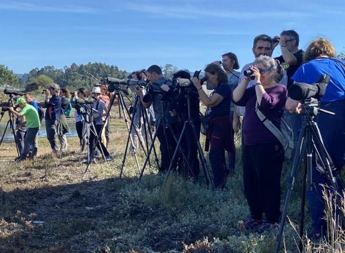Una reciente jornada de observación de aves en la Reserva Ornitológica de O Grove.