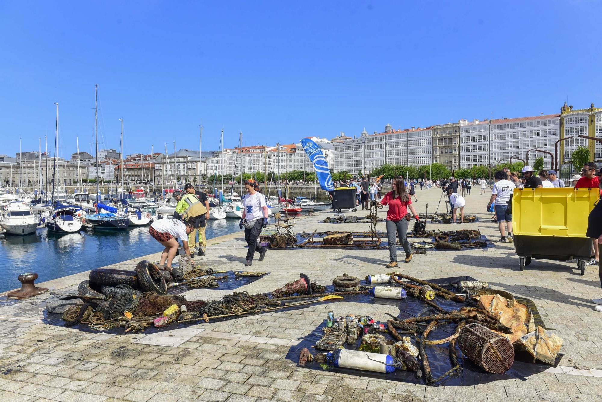 VI Gran limpieza de fondos marinos en A Coruña