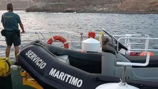 La Guardia Civil rescata a dos menores en apuros con olas de casi dos metros en una playa de Mogán