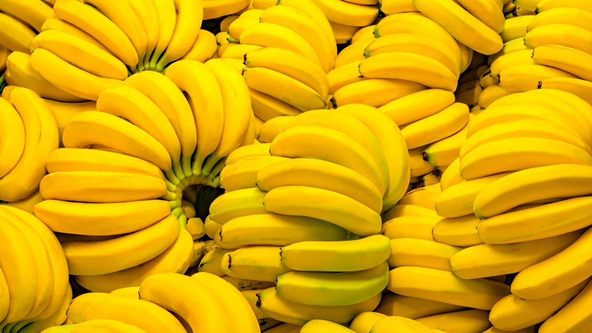Los plátanos crecen con forma curva