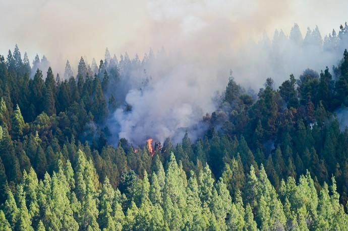 10-08-2019 ARTENARA. Incendio en la cumbre de Gran Canaria  | 10/08/2019 | Fotógrafo: Andrés Cruz