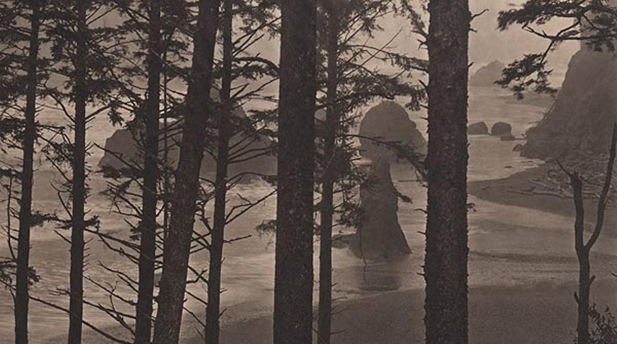 El fotògraf Takeshi Shikama exhibeix el seu treball en l’exposició ’Les remors del bosc’, a la seu de Gas Natural Fenosa a Barcelona.