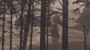 El fotògraf Takeshi Shikama exhibeix el seu treball en l’exposició ’Les remors del bosc’, a la seu de Gas Natural Fenosa a Barcelona.