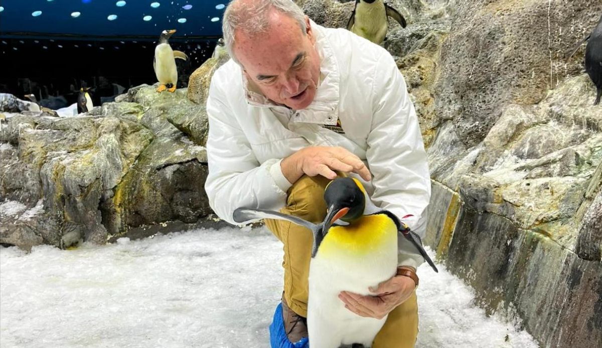 Pascual Calabuig, el pasado 17 de octubre en su reencuentro con Geisha en Loro Parque.
