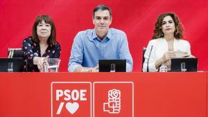 Pedro Sánchez se compromete a trabajar para lograr una investidura que nos permita seguir avanzando