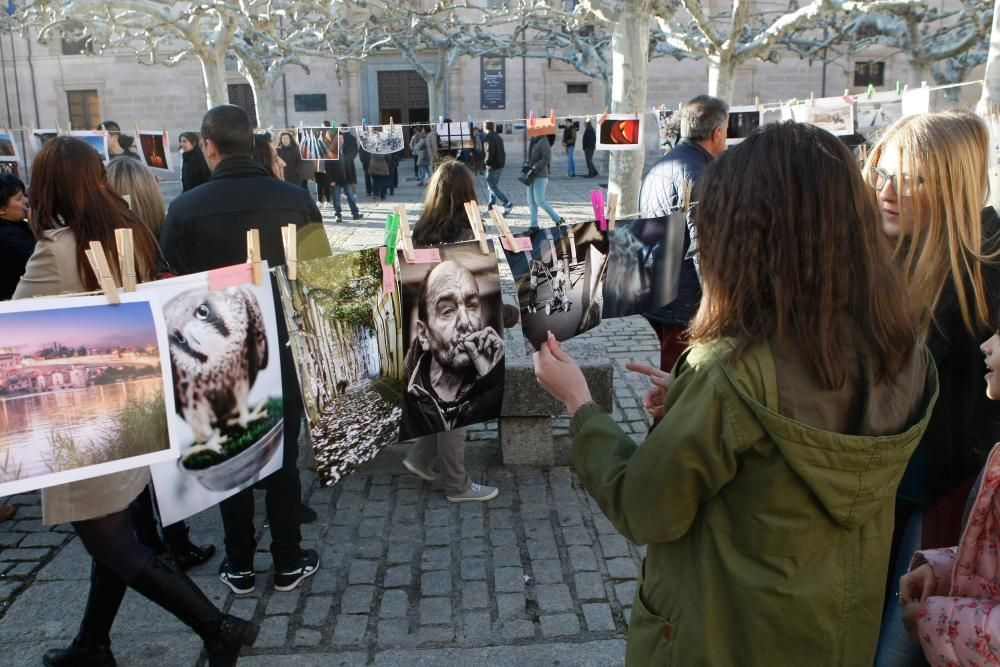 Iniciativa "Secado" en la plaza de Viriato