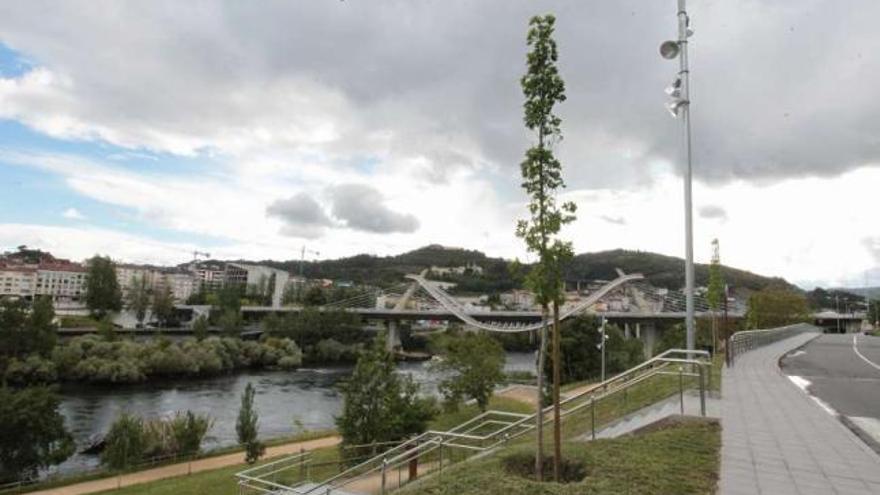 Una de la plantaciones se realizó en la zona del puente Ribeiriño.  // Jesús Regal