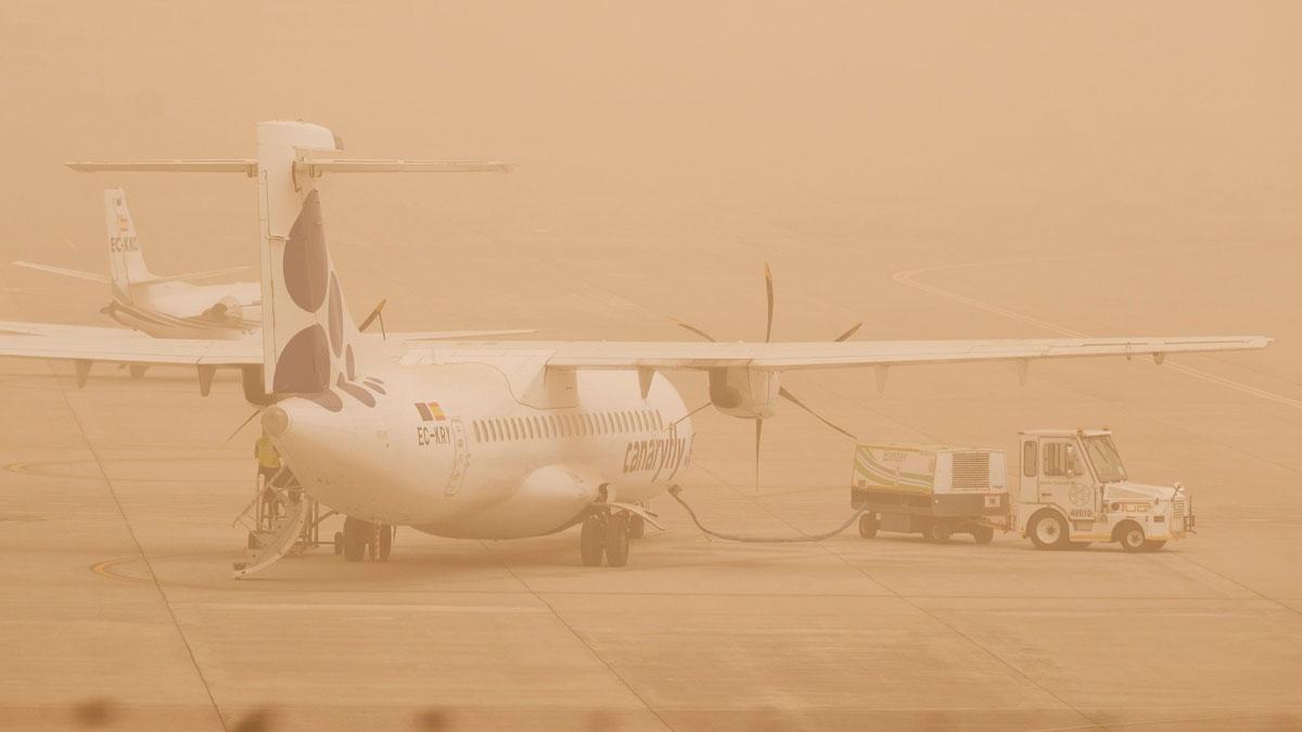 50241ac8-2ef9-4651-b8b3-235f02a7d5ce-hd-web