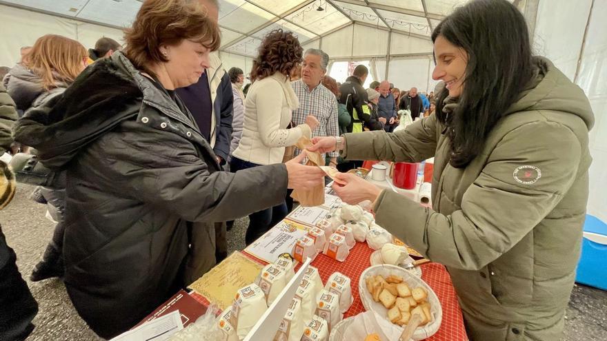 &quot;Va a escasear la leche&quot;, alertan los productores de quesos asturianos