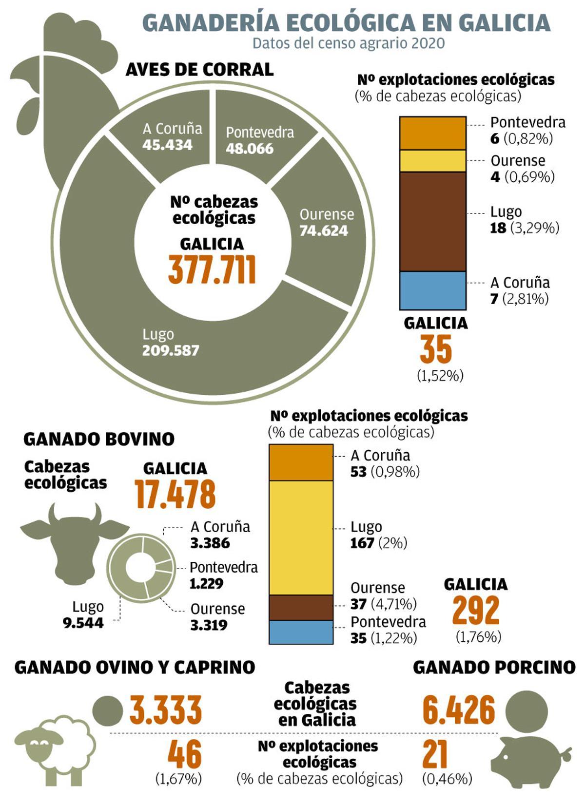 Ganadería ecológica