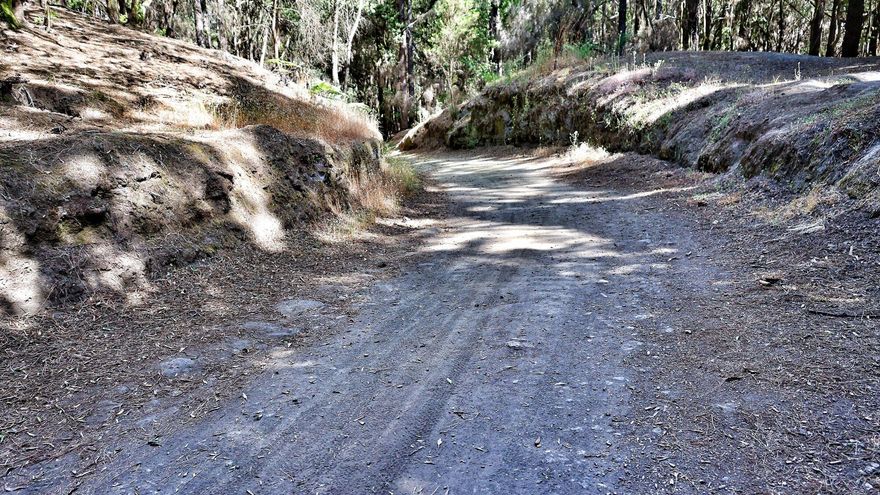Sancionados 15 motoristas por circular por un espacio protegido en Tenerife: 1.500 euros cada uno