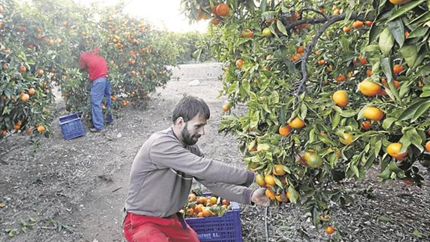 Los envíos de ‘agro’ se disparan y rozan los 1.000 millones de euros al año