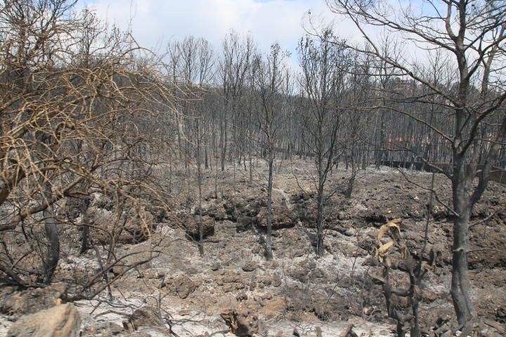 Incendio forestal entre Pinet, La drova y Marxuquera