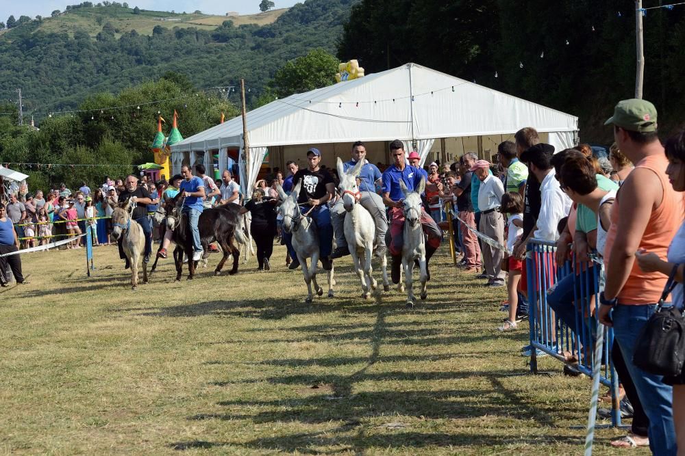 "Burrocross" en las fiestas de San Tirso