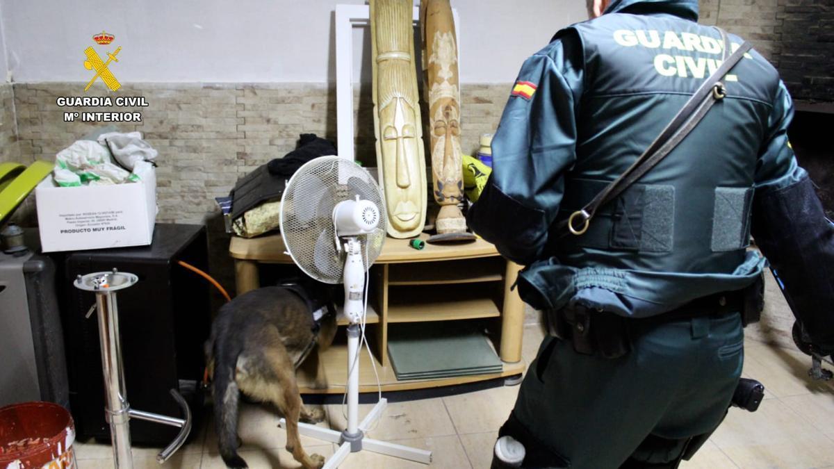 Momento de la inspección del local por parte de la Guardia Civil.