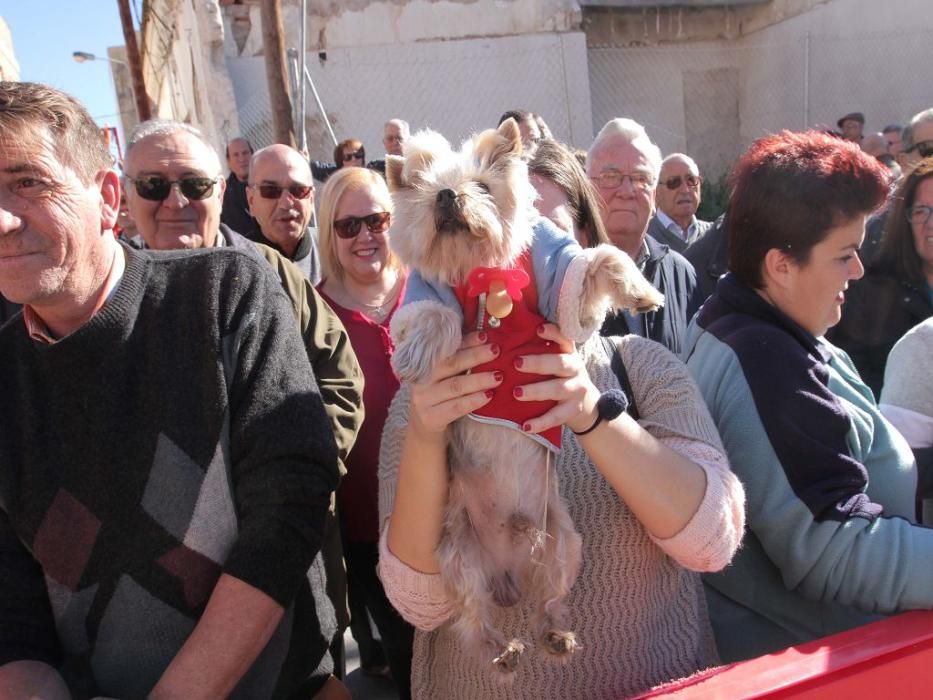 Los vecinos de Cartagena se han acercado junto a sus mascotas a recibir la bendición