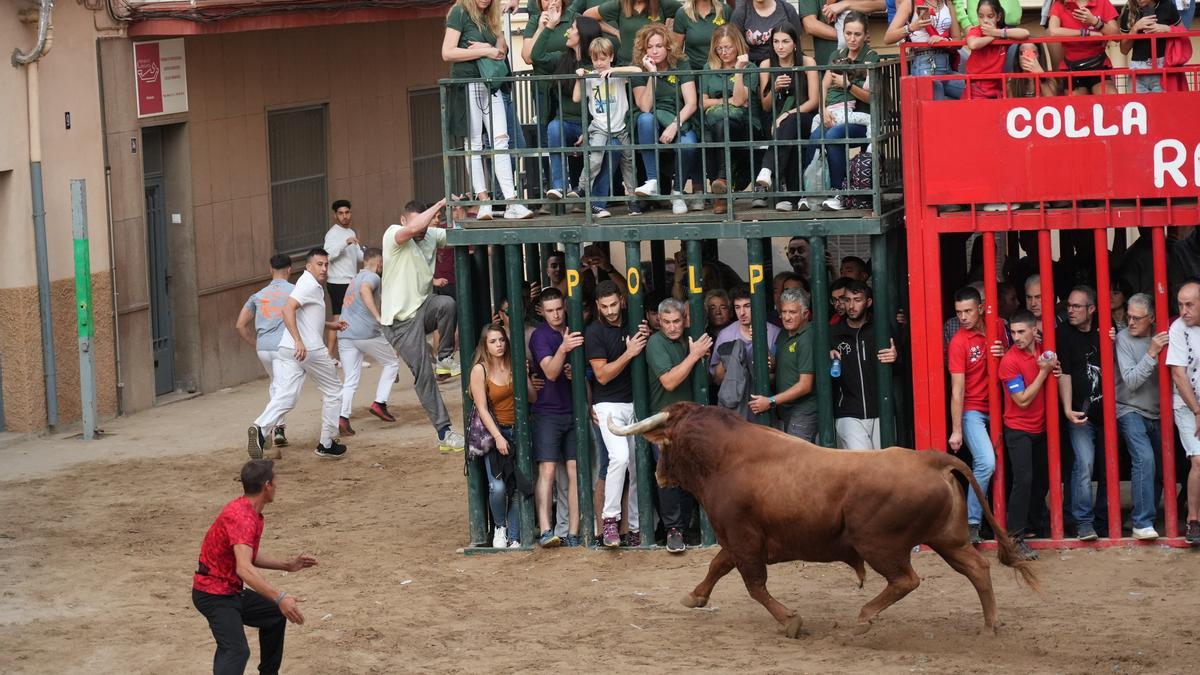 El segundo de Palmosilla ha destacado por su apariencia y elegancia, pero no ha terminado de cuajar.