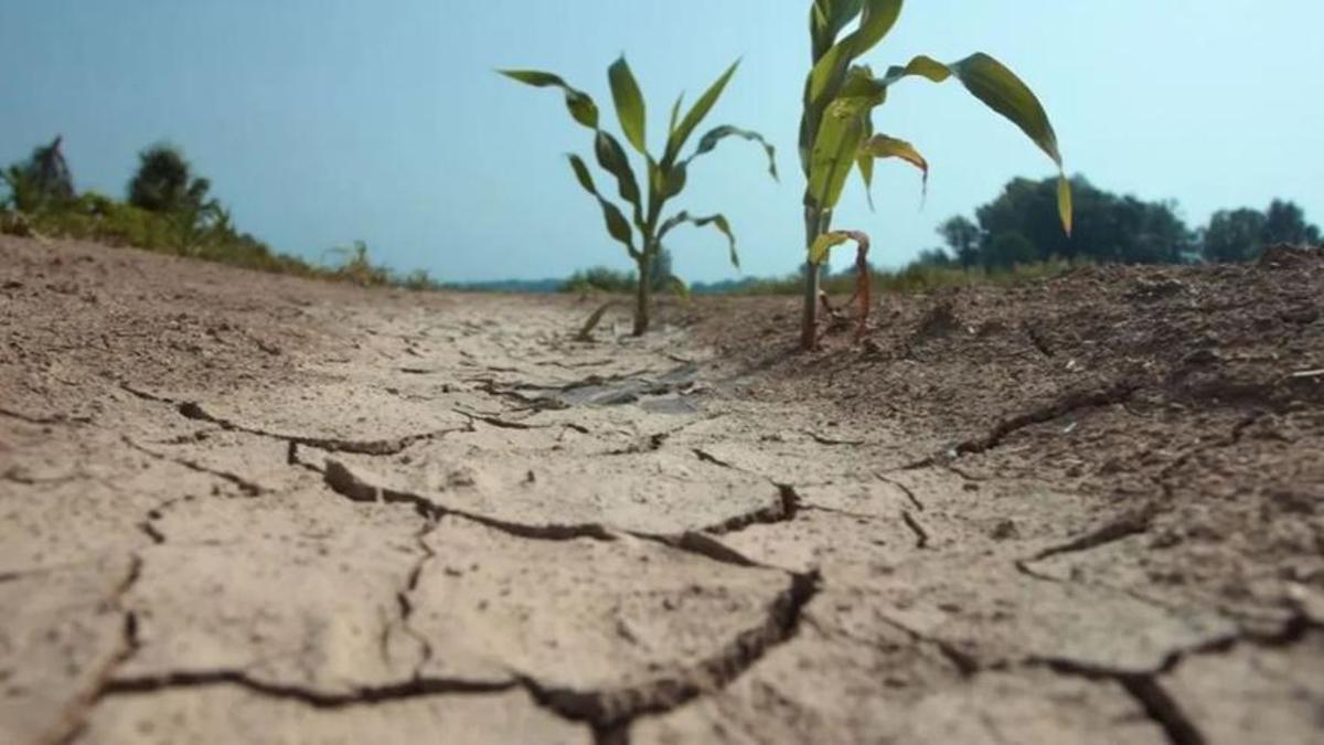 Agricultores y ganaderos se apoyan en "la necesidad de contar con un instrumento que les dé tranquilidad" ante la "posibilidad de perderlo todo".