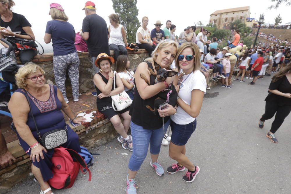 Romería de la Virgen de la Fuensanta en Murcia 2019 (III)