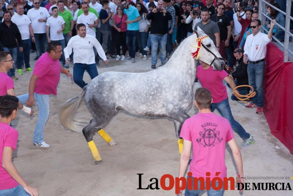 Día uno de mayo, entrada de caballos al Hoyo