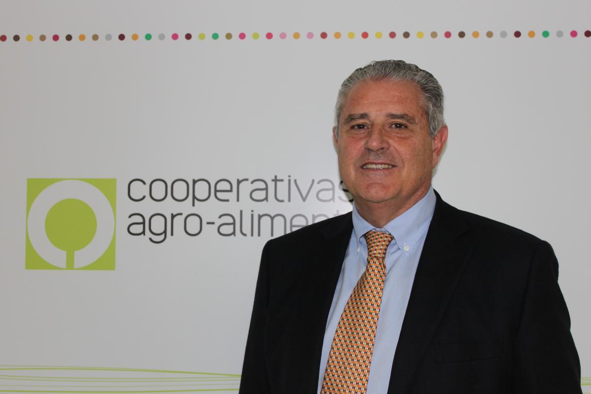 Cirilo Arnandis, presidente de la sección de cítricos de Cooperativas Agroalimentarias de España.