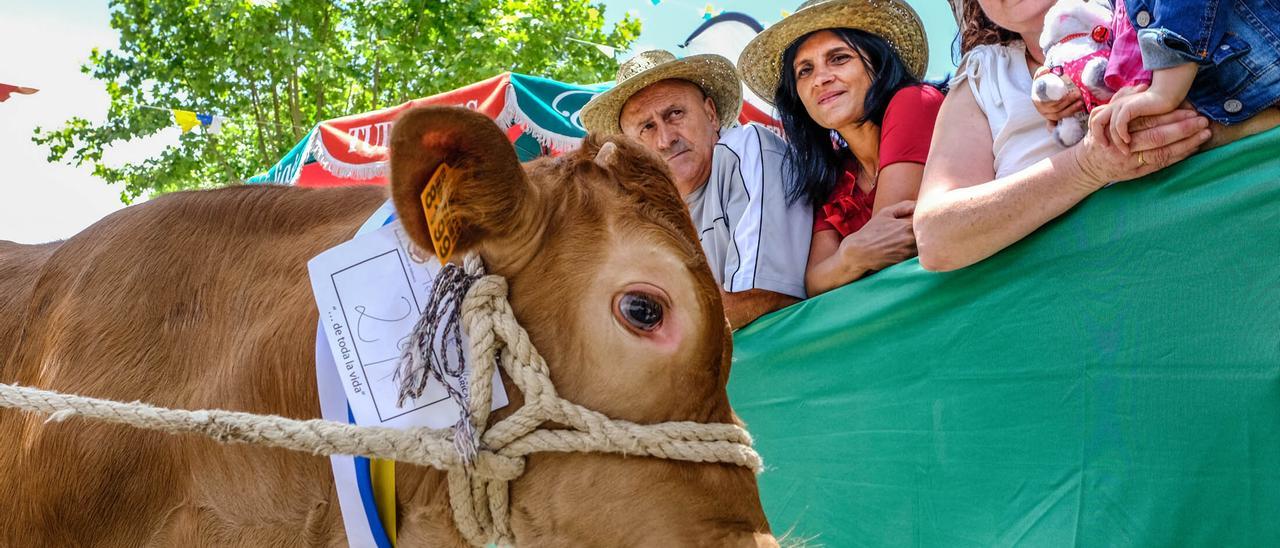 ¿Qué hacer este fin de semana? Valleseco, capital del huevo duro