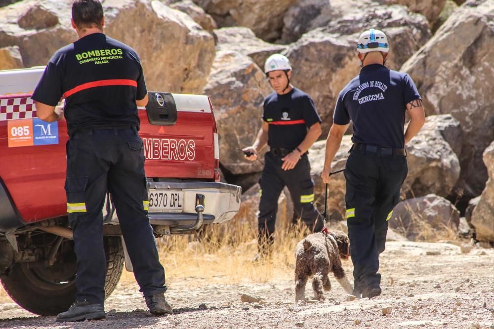 El mejor amigo del hombre, al rescate en Cox