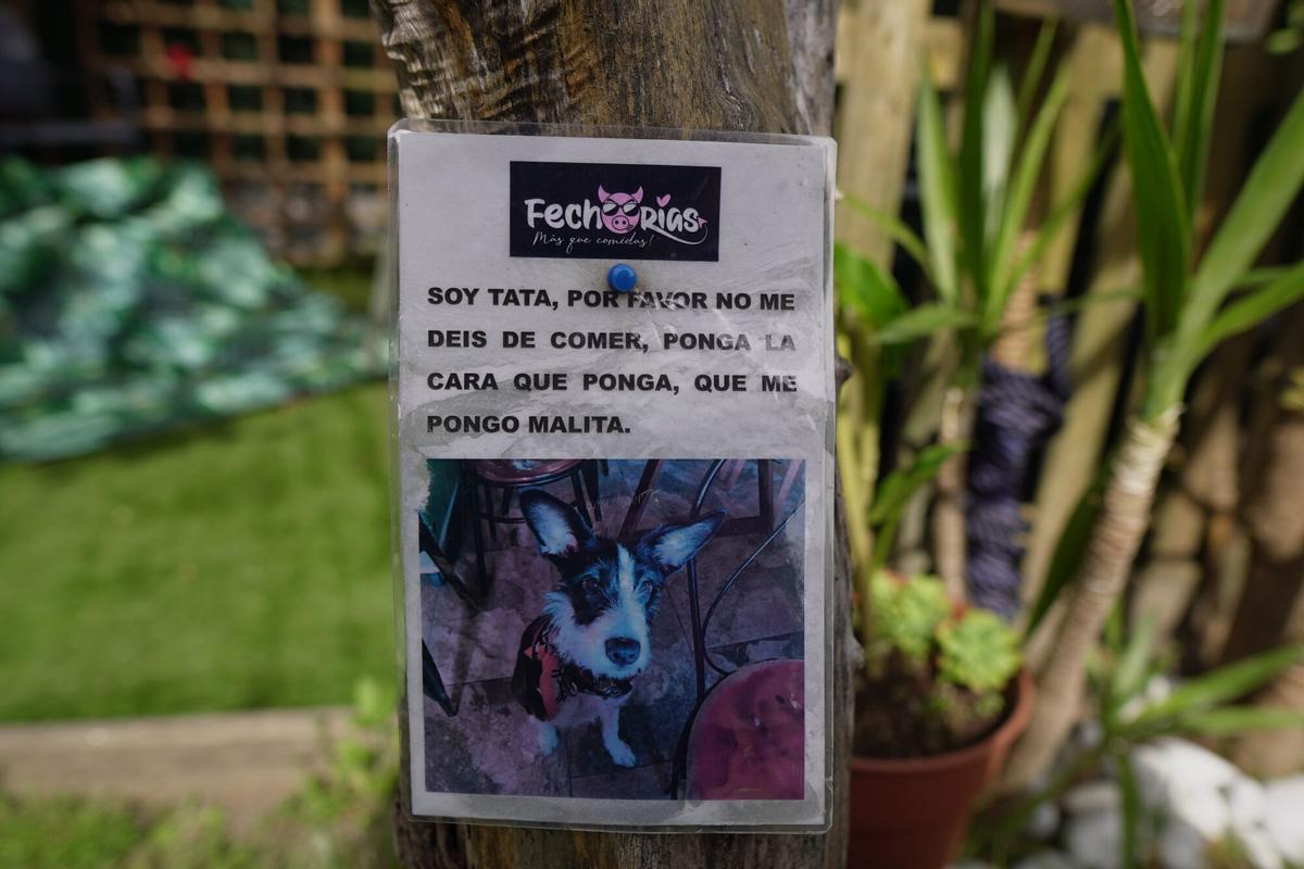El cartel del Fechorías que le pide a los clientes no alimentar a Tata.