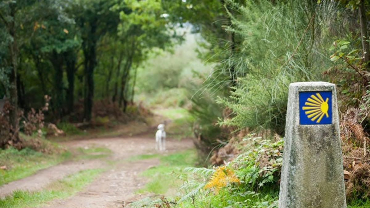 El Camino de Santiago a través del vino