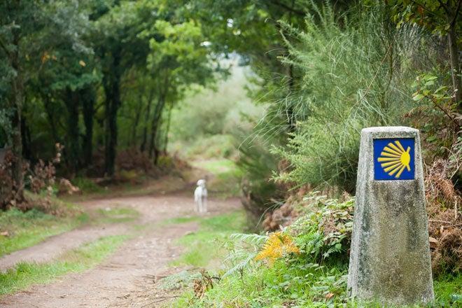 El Camino de Santiago a través del vino