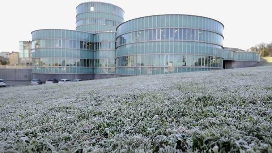 En la zona del consistorio de Lalín también se notó el frío y la helada y ayer, durante las primeras horas de la mañana, la hierba lucía de color blanco. // Bernabé/Javier Lalín