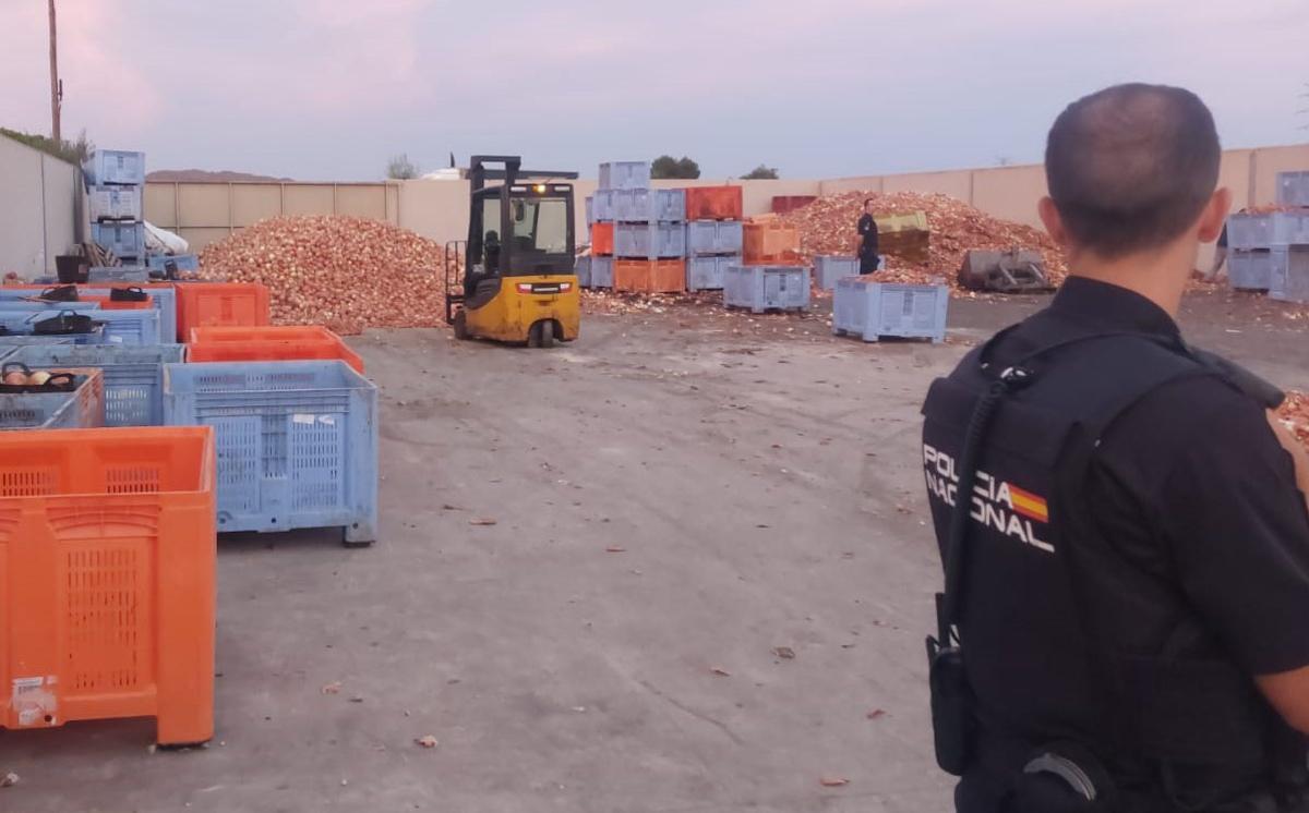 Fnca agrícola de Ulea en la que se han rescatado a los 65 ciudadanos extranjeros que estaban siendo explotados