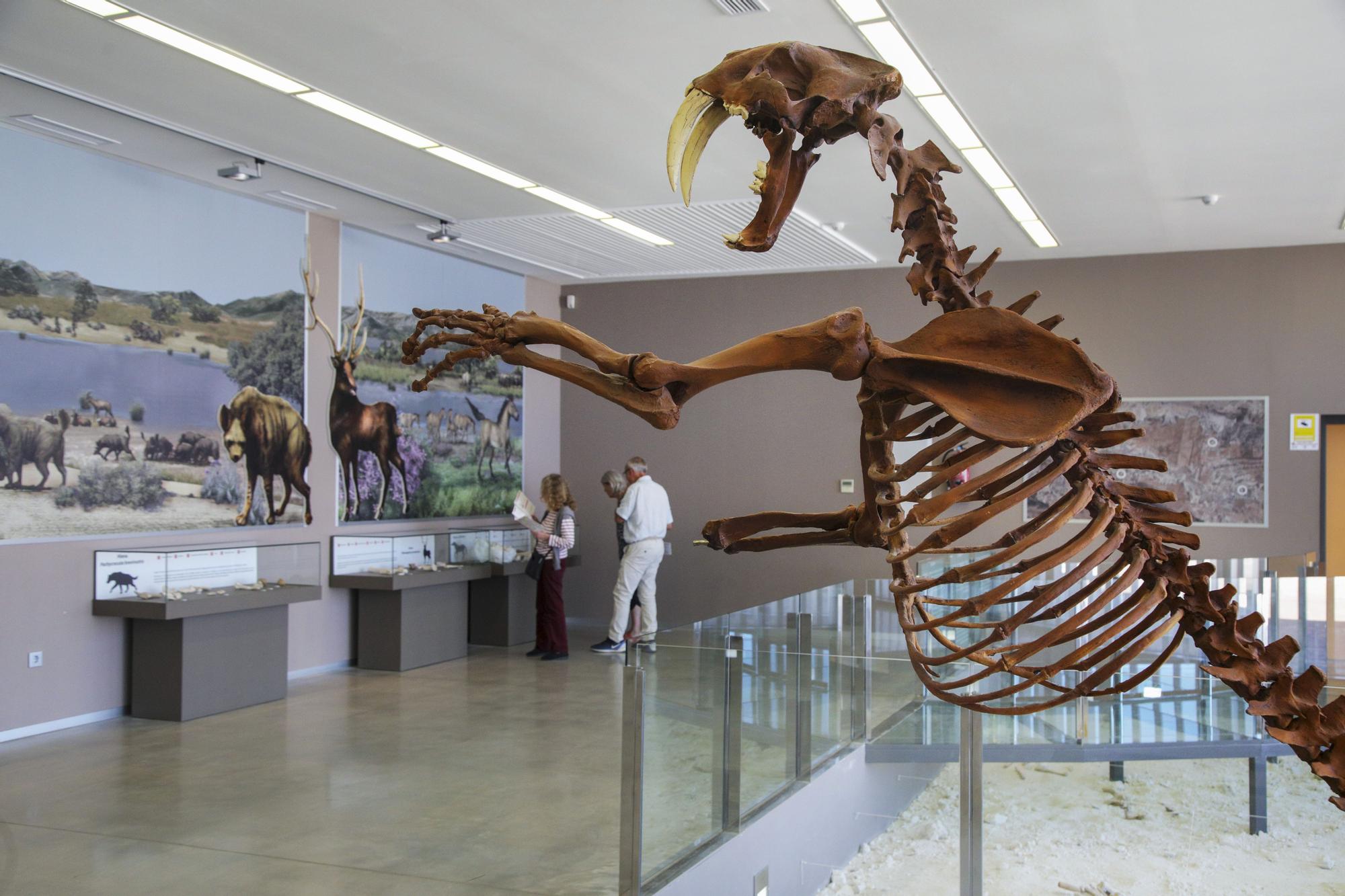 Museo Primeros Pobladores de Europa, en el Centro Josep Gibert, en Orce, Granada.